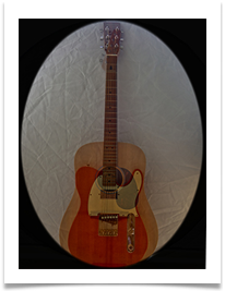 Electroacoustic guitar - David Beech